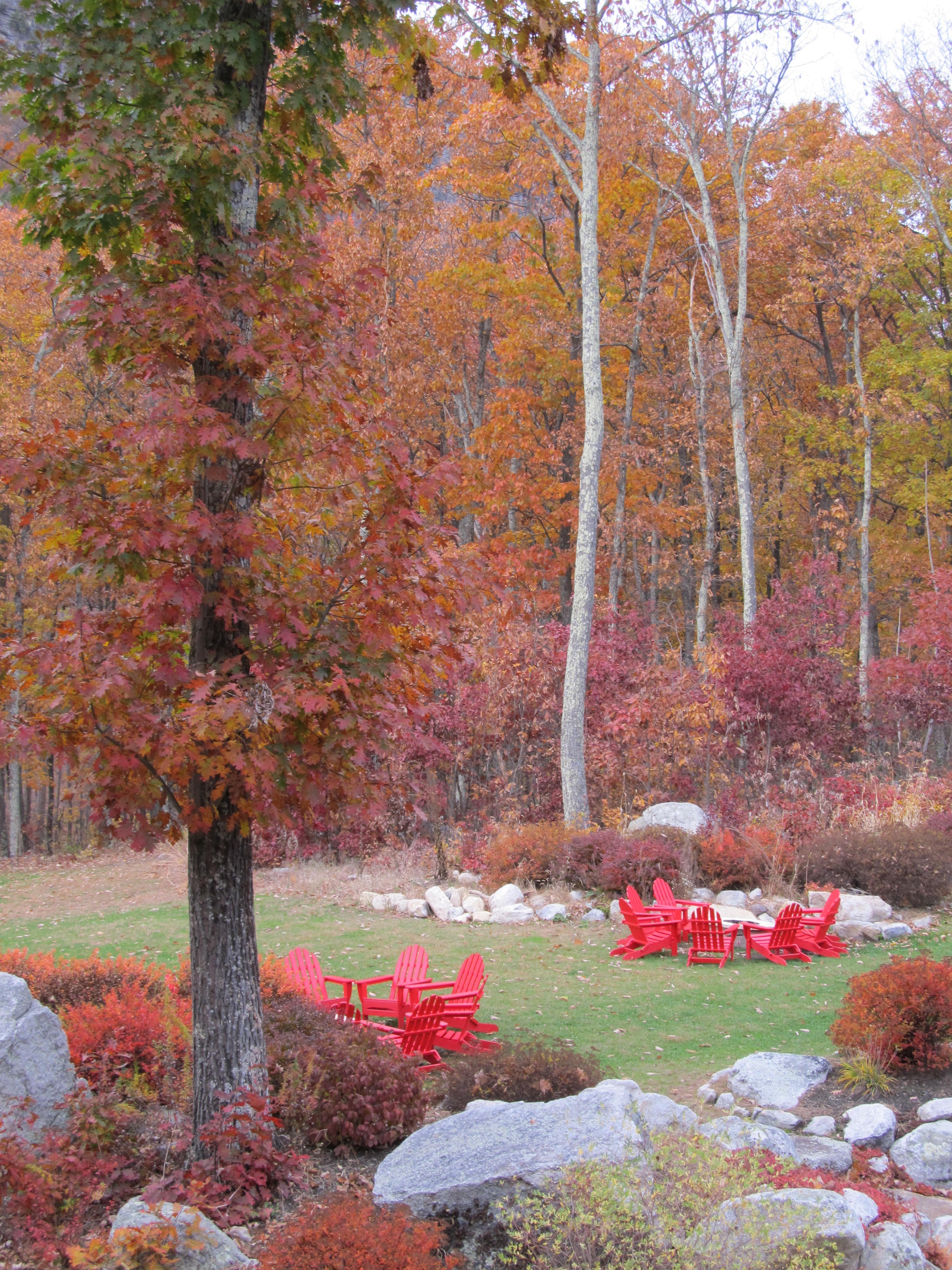Minnewaska's grounds and fire pit